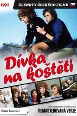 Póster de la película Dívka na koštěti