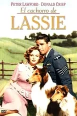 Portada de El cachorro de Lassie