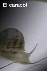 Película El caracol