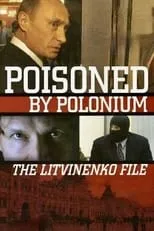 Póster de la película El caso Litvinenko