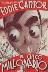 Póster de la película El chico millonario