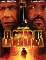 Poster de El color de la venganza