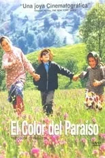 Póster de El color del paraíso