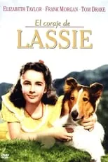 Poster de la película El coraje de Lassie - Películas hoy en TV