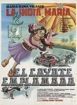 Póster de la película El coyote emplumado