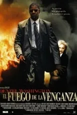 Poster de la película El fuego de la venganza - Películas hoy en TV