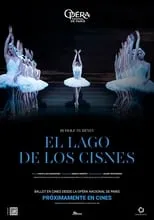 Poster de la película El lago de los cisnes - Películas hoy en TV