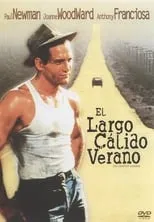 Película El largo y cálido verano