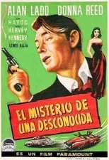 Portada de El misterio de una desconocida