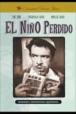 Póster de la película El niño perdido