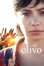 Poster de la película El Olivo - Películas hoy en TV