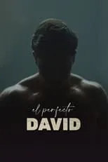 Película El perfecto David