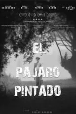 Poster de la película El pájaro pintado - Películas hoy en TV