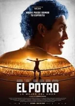 Poster de la película El Potro: lo mejor del amor - Películas hoy en TV