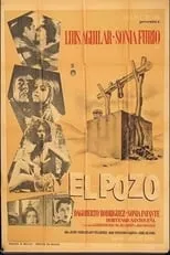 Poster de El pozo