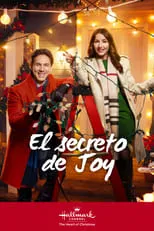 Poster de El secreto de Joy