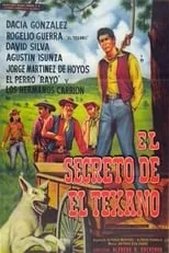 Poster de la película El secreto del texano - Películas hoy en TV