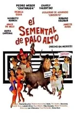 Póster de la película El semental de Palo Alto