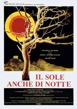 Póster de la película El sol también sale de noche