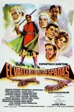 Película El valle de las espadas