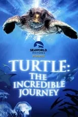 Poster de la película El viaje de la tortuga - Películas hoy en TV