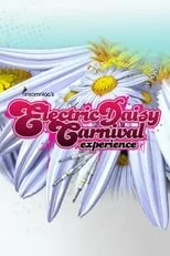 David Guetta es Self en Electric Daisy Carnival Experience