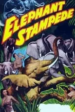 Póster de la película Elephant Stampede