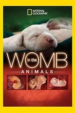 Poster de la película En el vientre materno: Animales - Películas hoy en TV