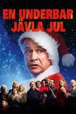 Poster de En underbar jävla jul