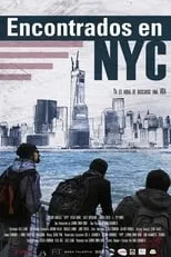 Póster de la película Encontrados en NYC