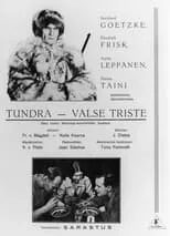 Póster de Erämaan turvissa