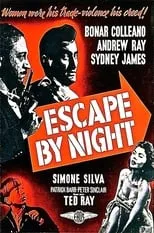 Póster de la película Escape by Night