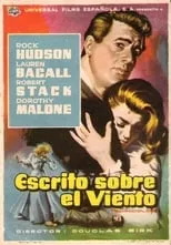 Poster de la película Escrito sobre el viento - Películas hoy en TV