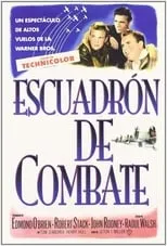 Película Escuadrón de combate