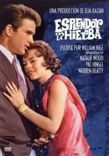 Pierre Bertin en la película Esplendor en la hierba