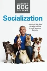 Cesar Millan es Himself en Essentials of Dog Behavior: Socialization