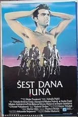 Póster de la película Šest dana juna