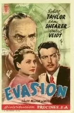 Póster de Evasión