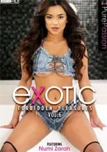 Póster de la película Exotic Forbidden Pleasures 6