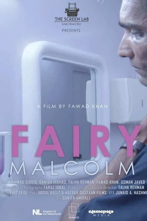 Póster de la película Fairy Malcolm