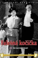 Póster de la película Falešná kočička