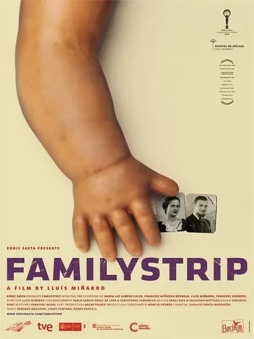 Póster de la película Familystrip