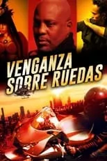 Poster de Fast Vengeance