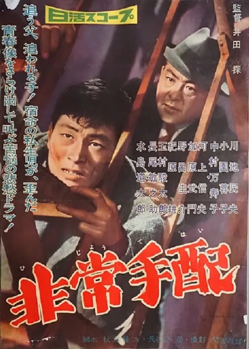 Póster de 非常手配