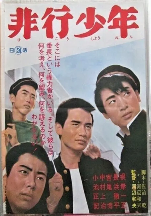 Póster de 非行少年