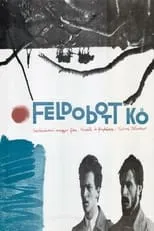 Feldobott kő portada