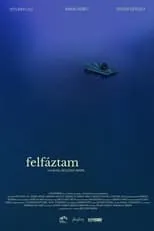 Película Felfáztam