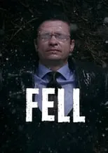 Poster de Fell