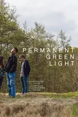 Poster de la película Feu vert permanent - Películas hoy en TV