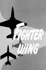 Película Fighter Wing